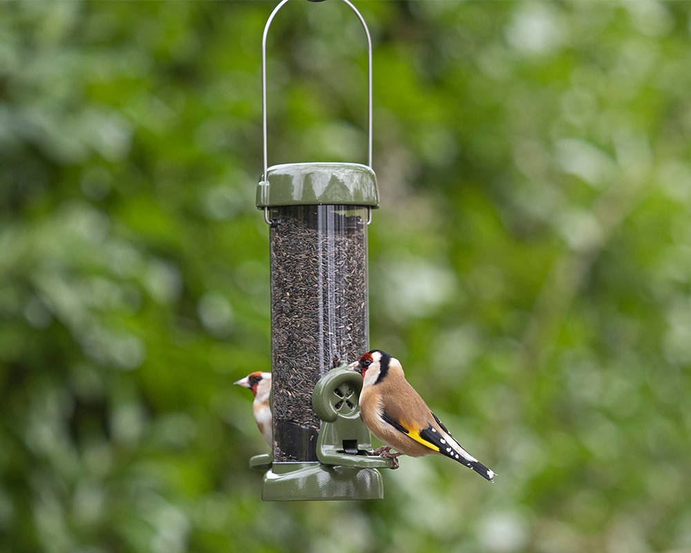 Ring-Pull Click Metal Niger Seed Feeder