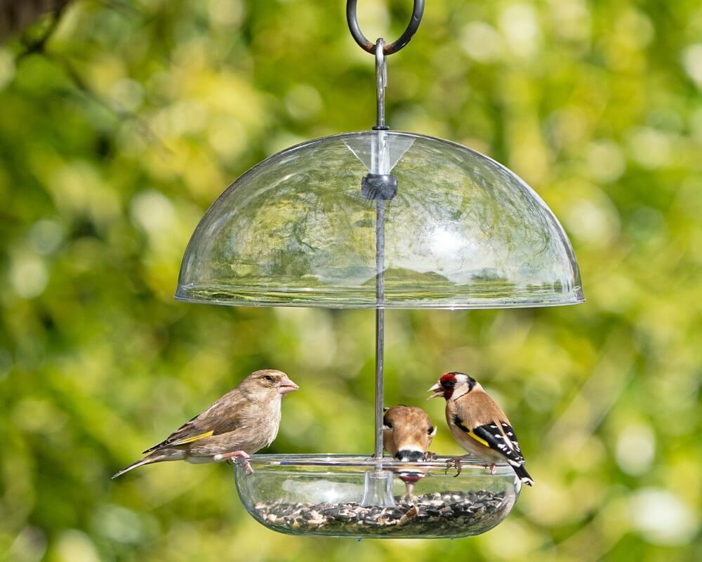I Love Robins Feeder