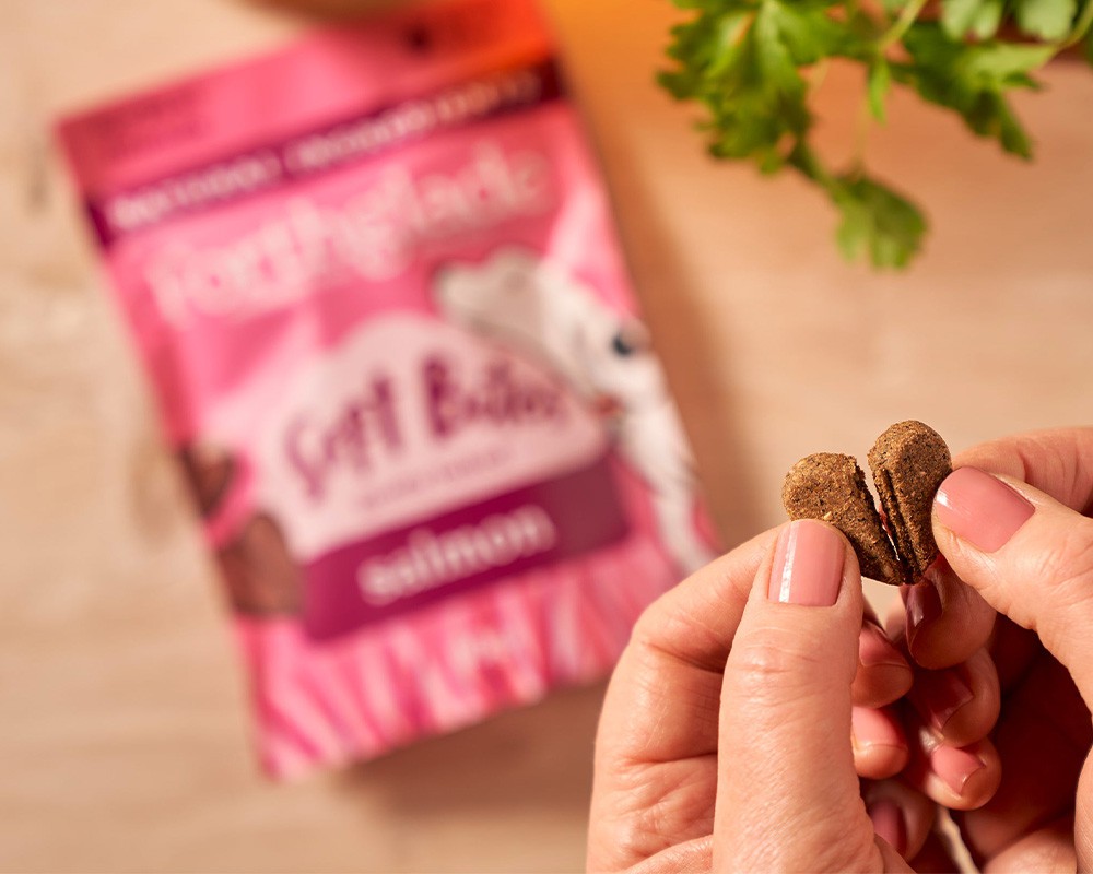 Forthglade Soft Bites Salmon Dog Treats