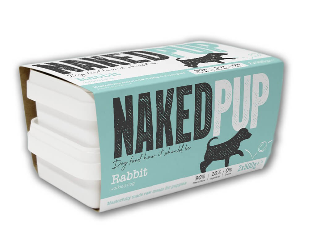 Naked Dog Puppy Rabbit