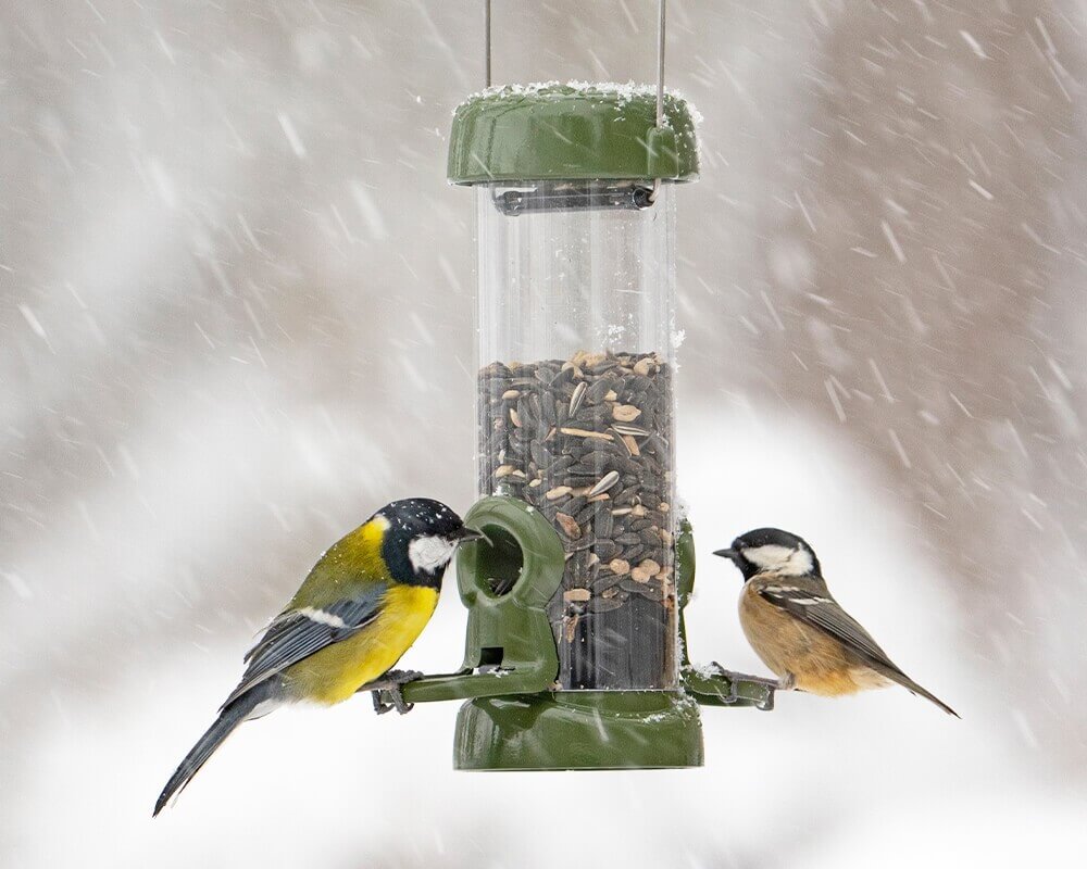 Ring-Pull Click Metal Seed Feeder