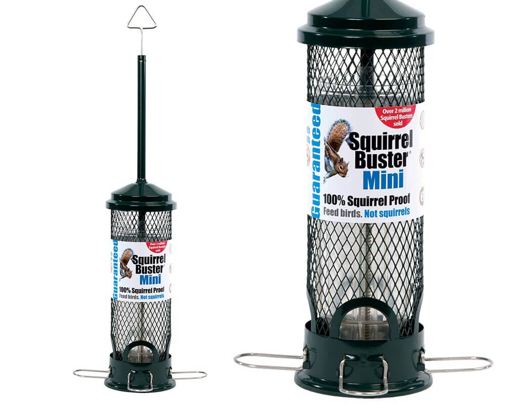Squirrel Buster Mini Seed Feeder