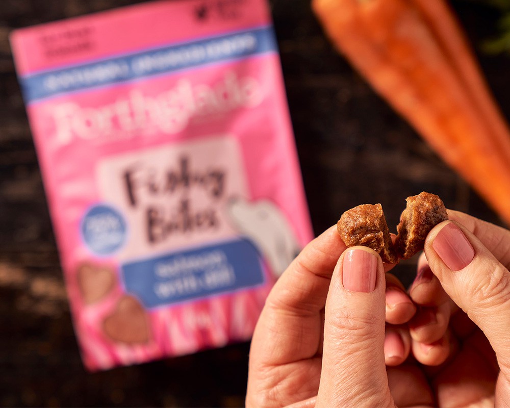 Forthglade Fishy Bites Salmon & Dill Dog Treats