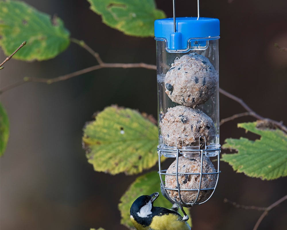 Get Set Go! Fat Ball Feeder