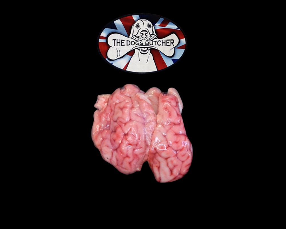 The Dogs Butcher Lamb Brains