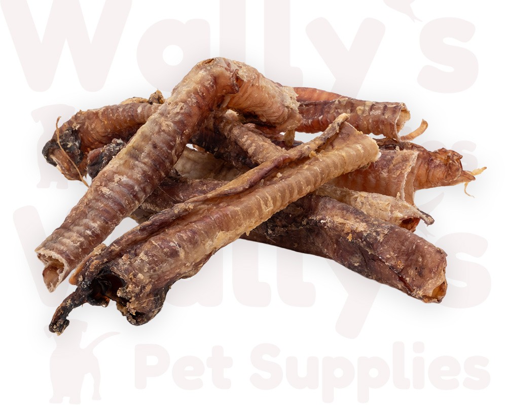 Lamb Trachea