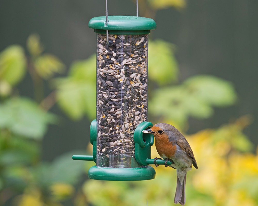 Ring-Pull Seed Feeder