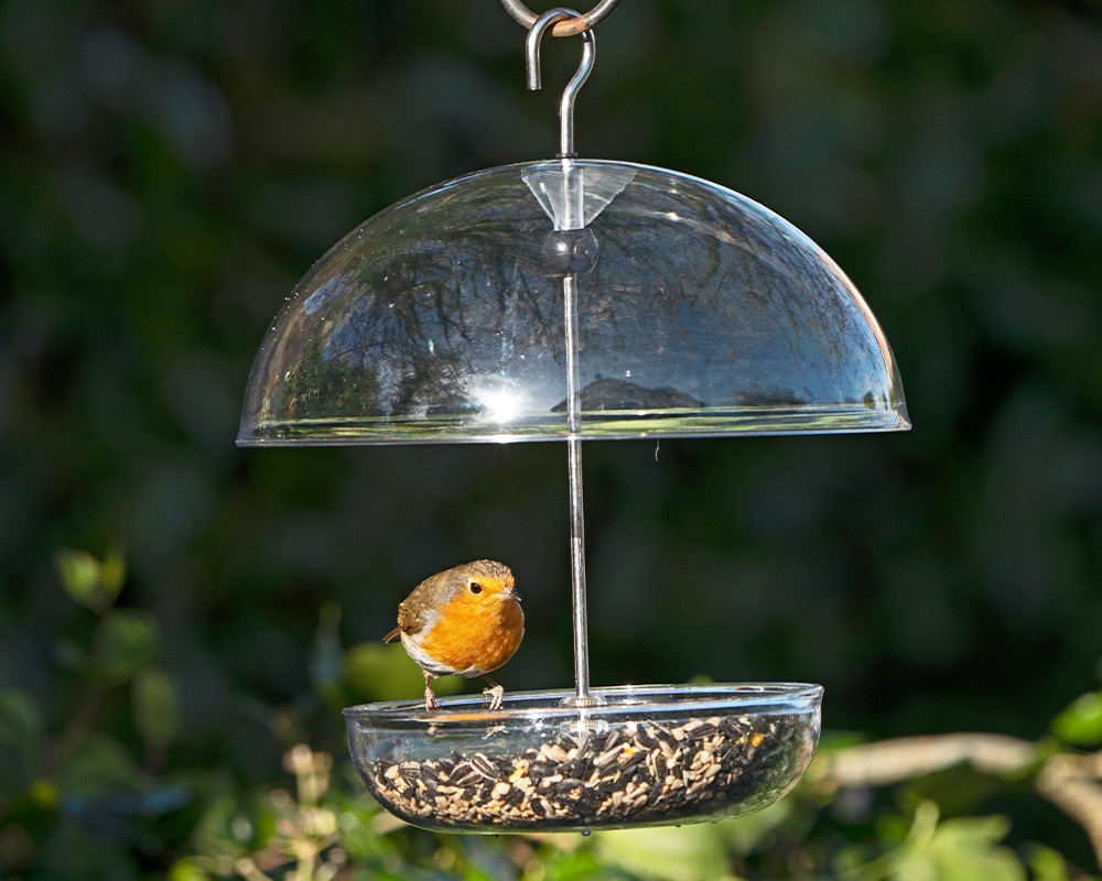 I Love Robins Feeder