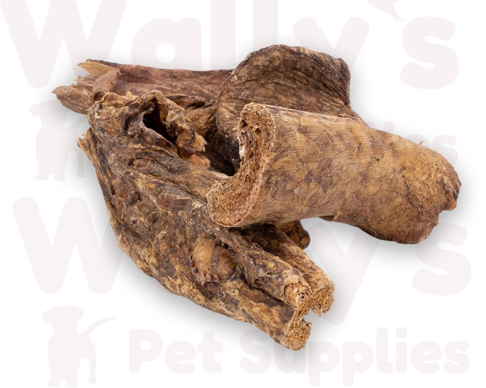 Lamb Lung