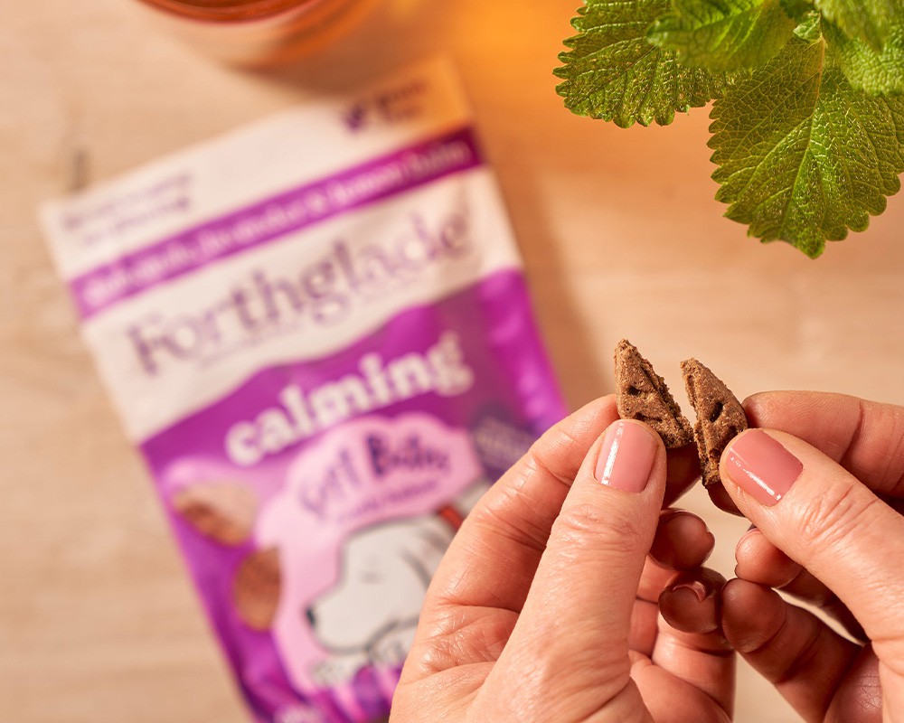 Forthglade Soft Bites Calming Dog Treats Camomile & Lavender