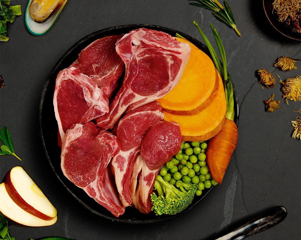 Canagan Lamb Casserole Wet Dog Food