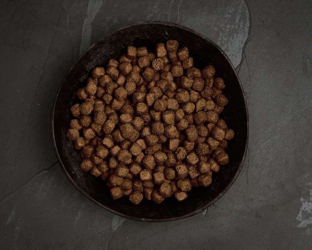 Canagan Dental Free-Run Turkey Dry Dog Food