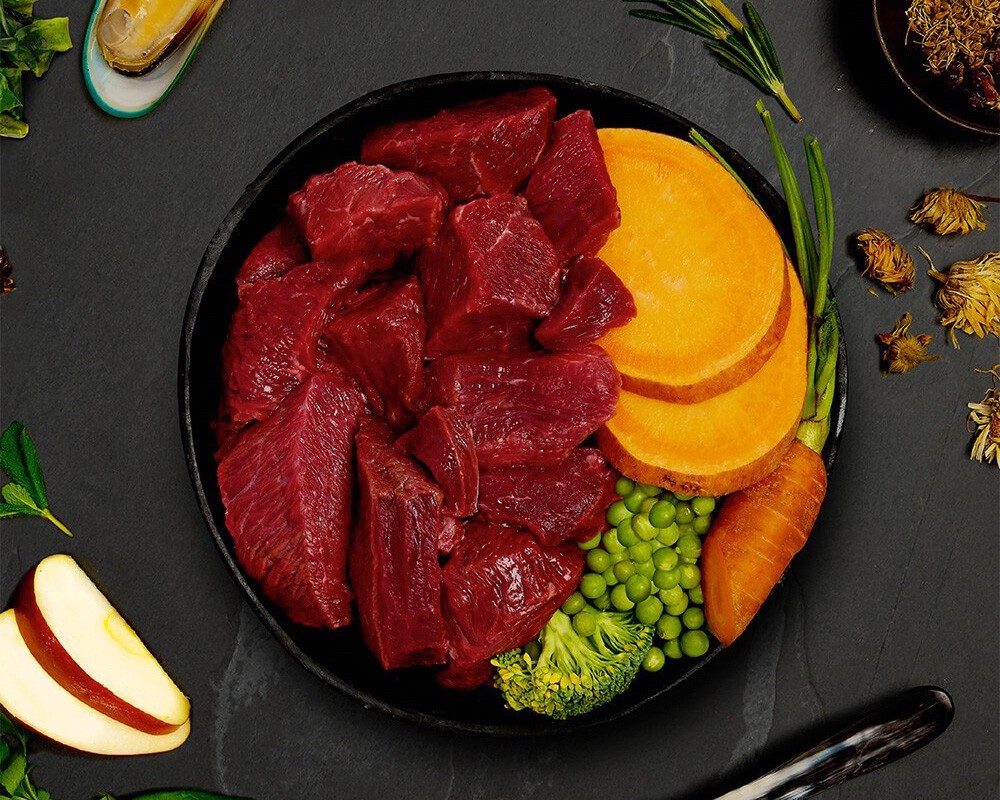 Canagan Beef Stew Wet Dog Food