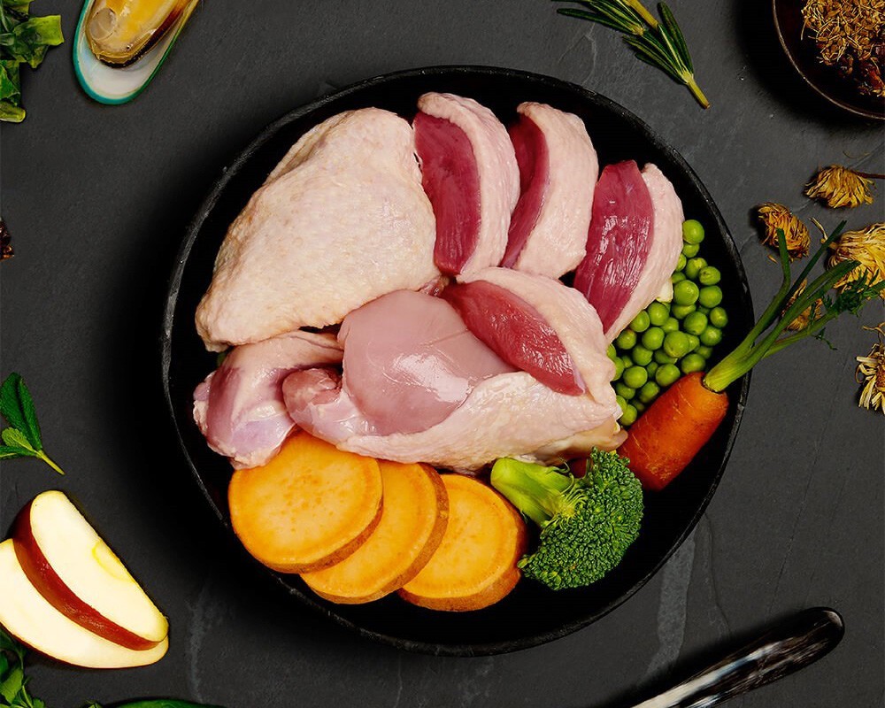 Canagan Turkey & Duck Wet Dog Food