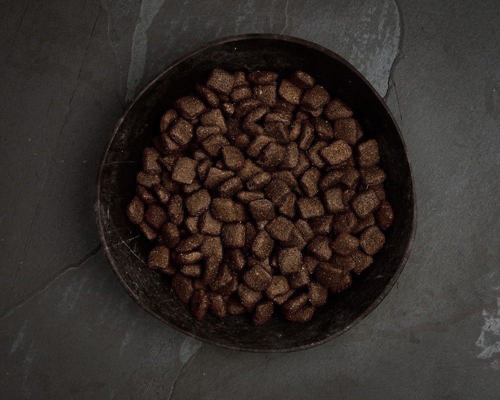Canagan Grass-Fed Lamb Dry Dog Food