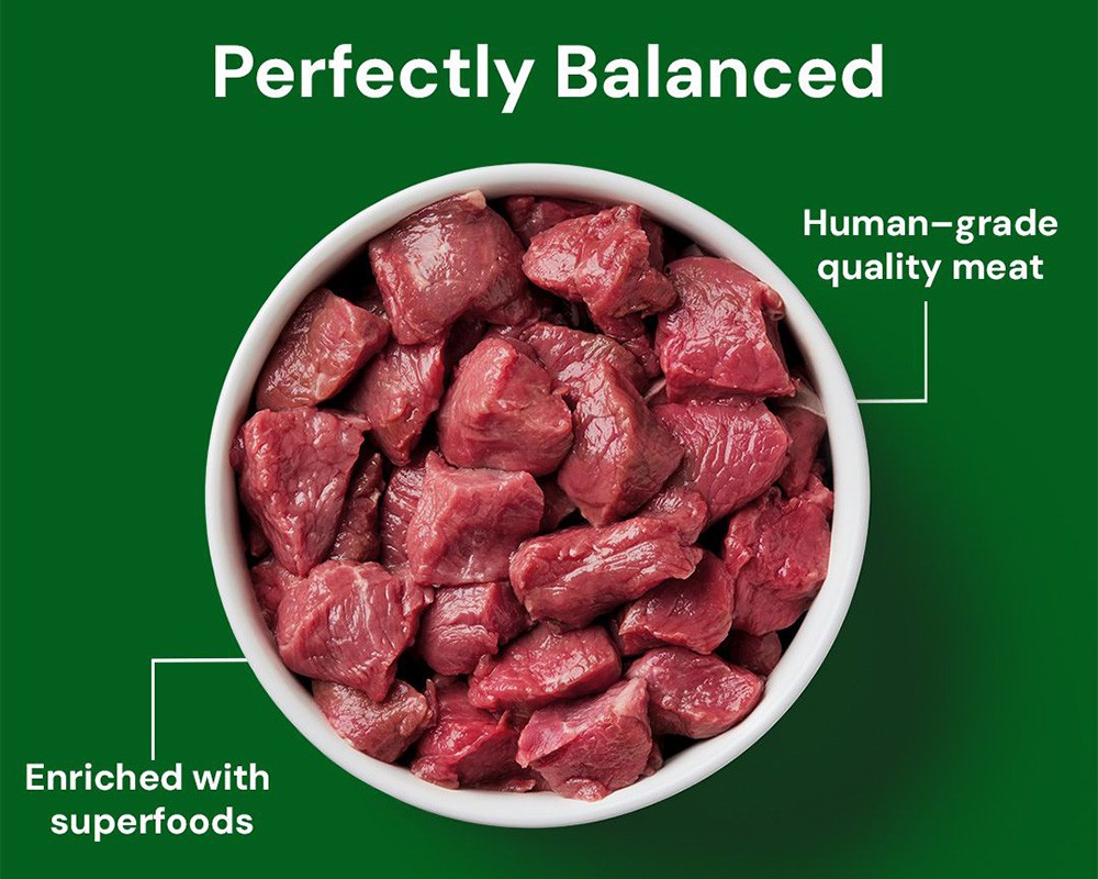 Nutriment Cat Raw Lamb