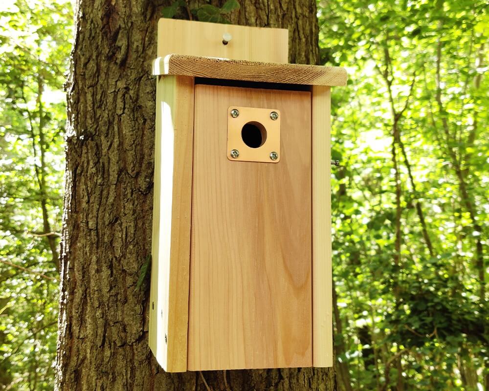 Nest Box Protection Plate