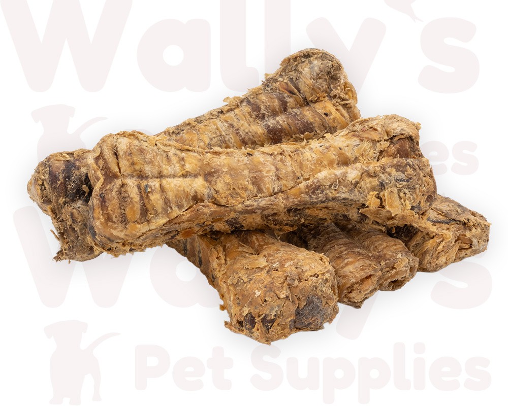 Buffalo Trachea Bones