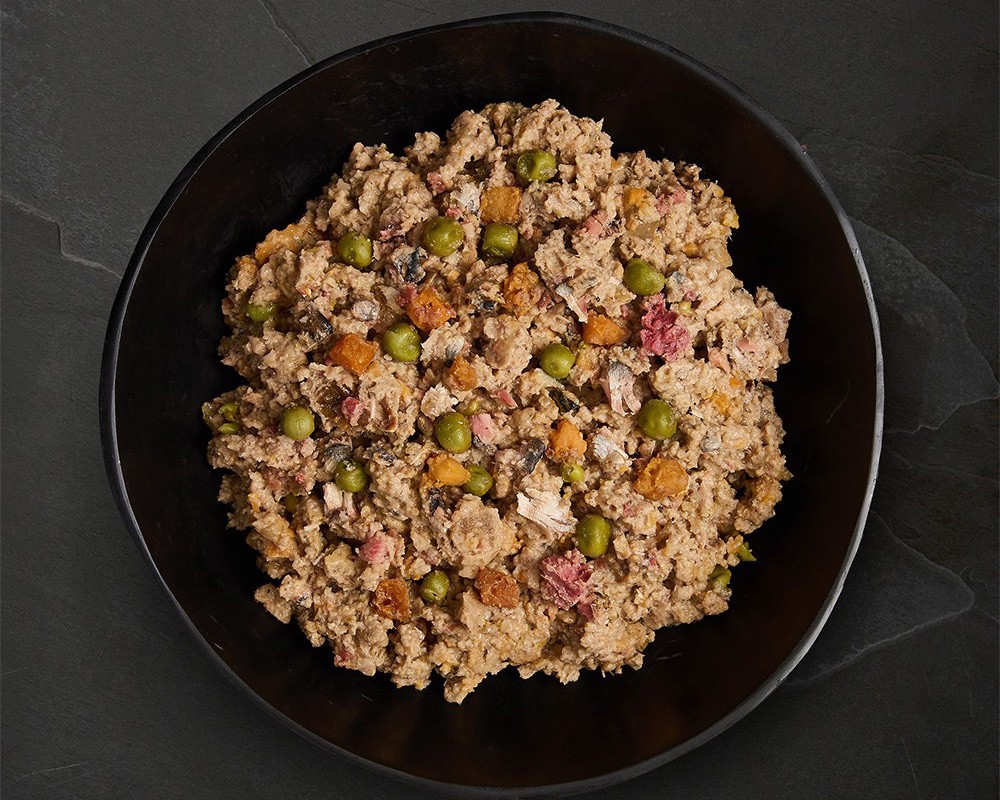 Canagan Salmon & Herring Wet Dog Food