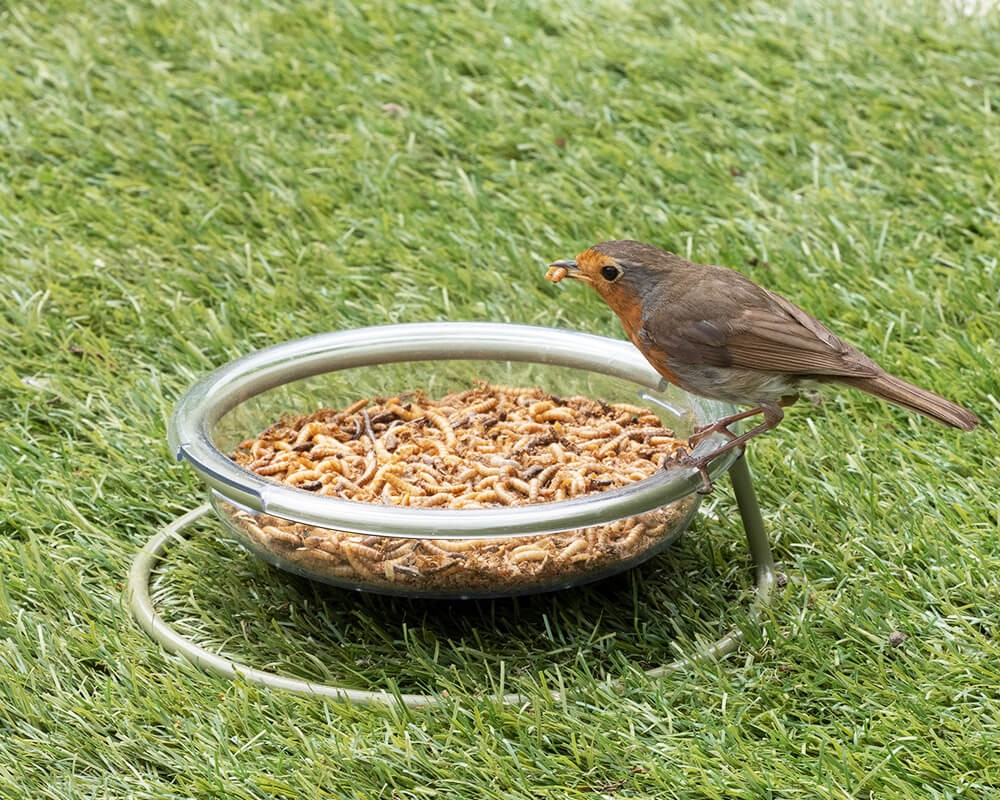 I Love Robins Easy-Clean Treat Dish