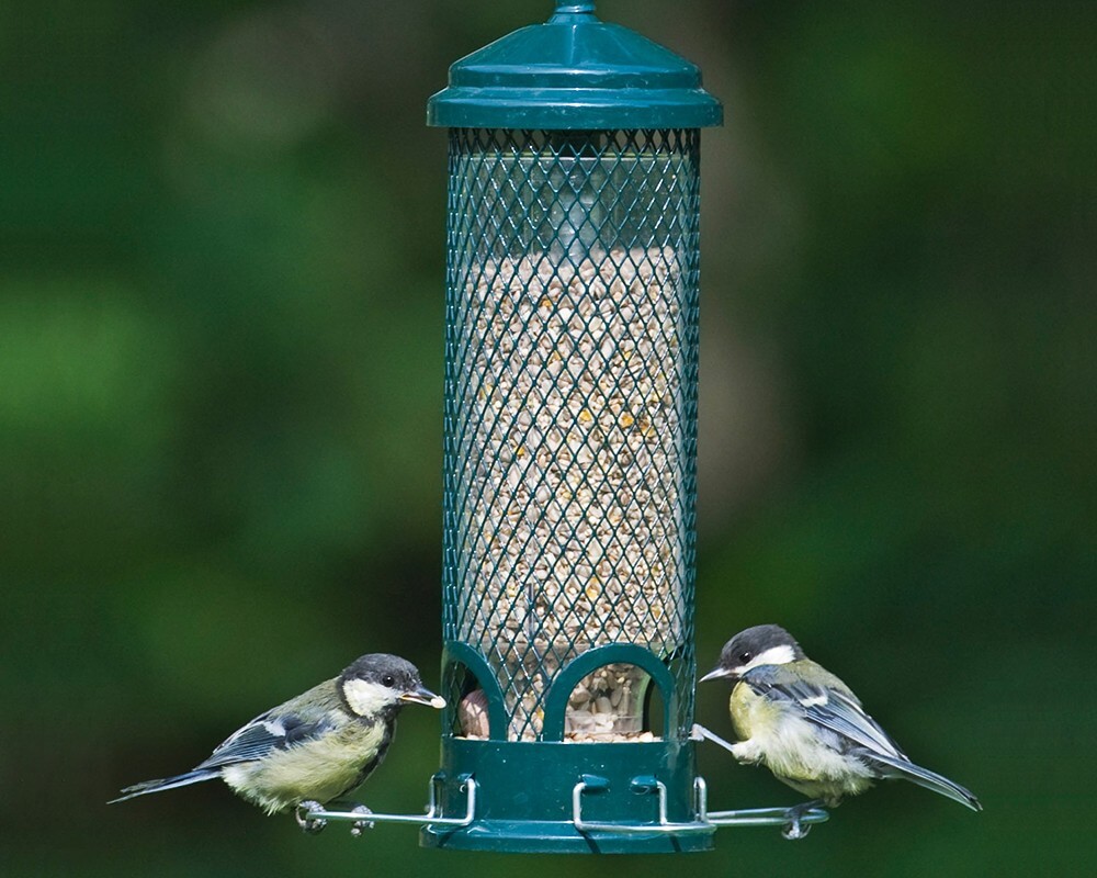 Squirrel Buster Mini Seed Feeder