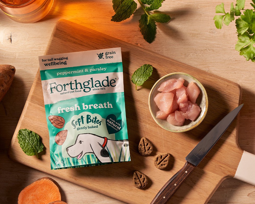 Forthglade Soft Bites Fresh Breath Dog Treats Peppermint & Parsley