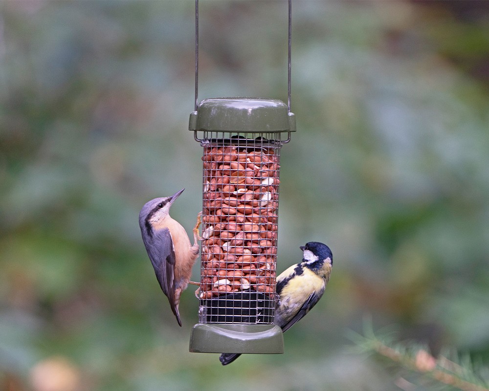 Ring-Pull Click Metal Peanut Feeder