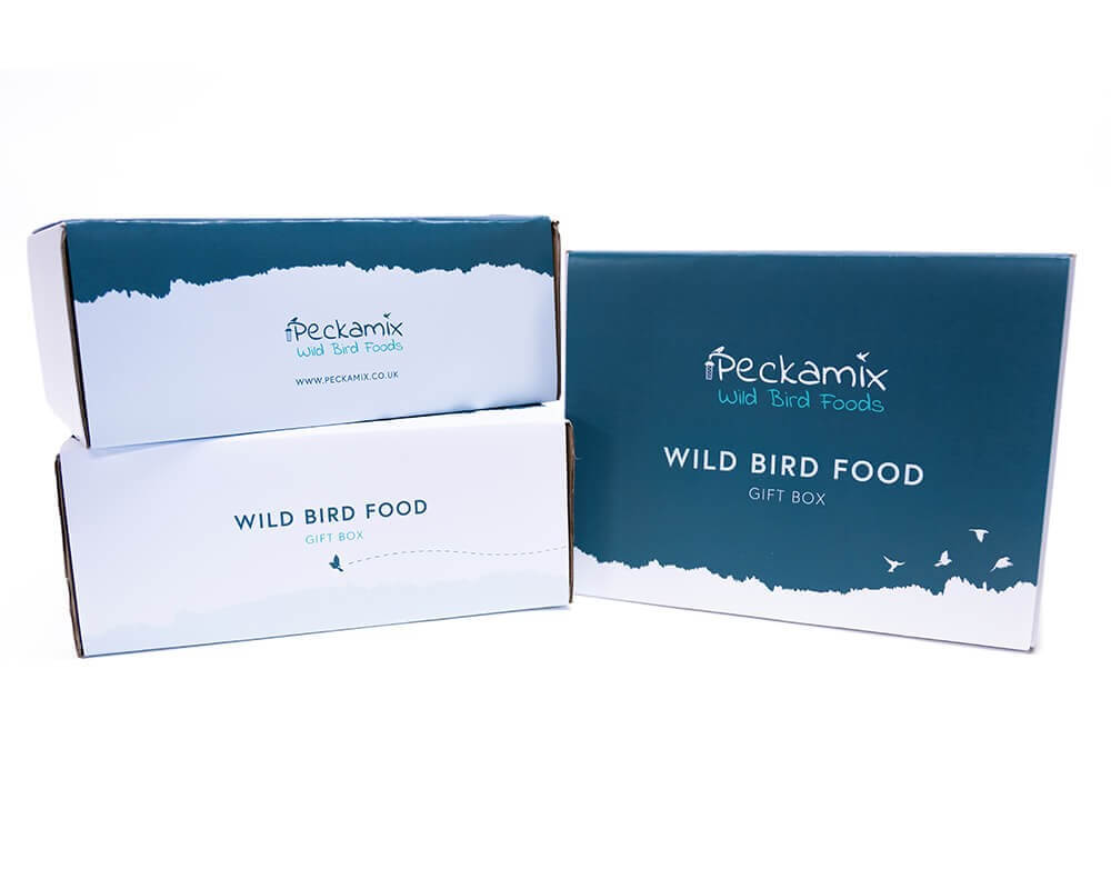 Seed Feeder Gift Box
