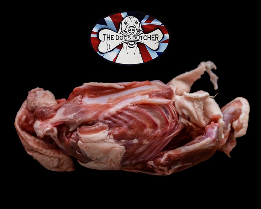 The Dogs Butcher Duck Carcass