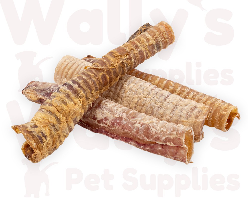 Buffalo Trachea 30cm