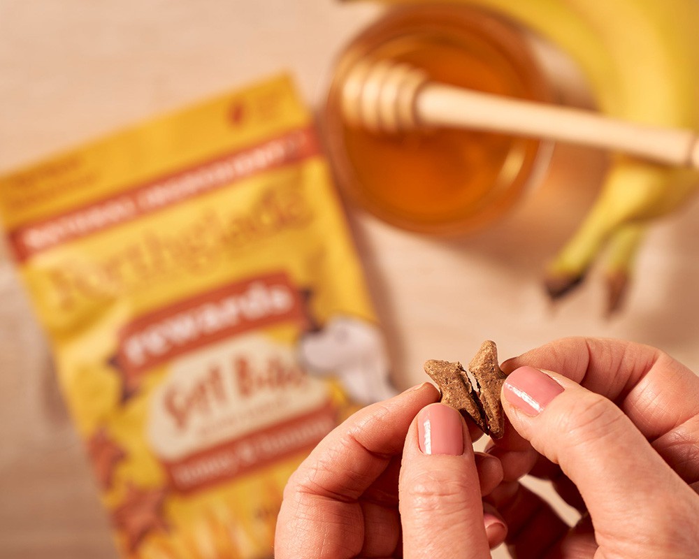 Forthglade Soft Bites Dog Training Treats Honey & Banana