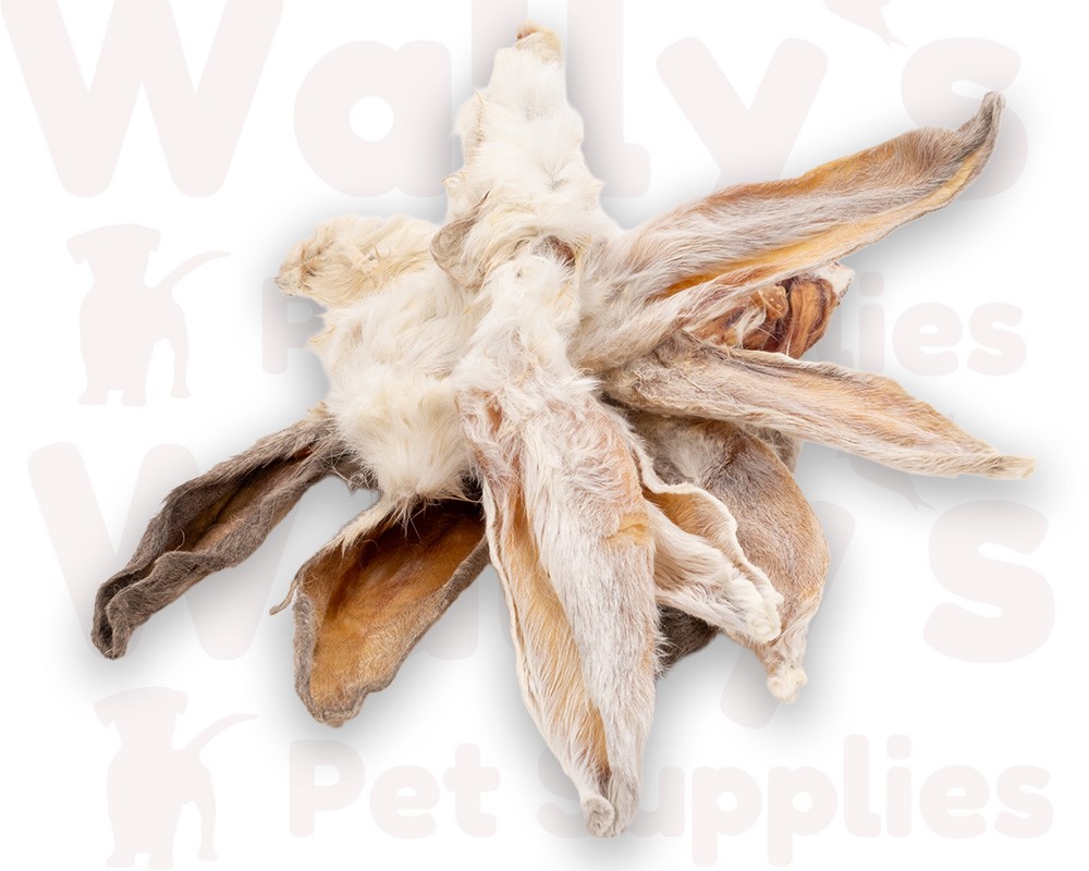 Rabbit Ears (Hairy)