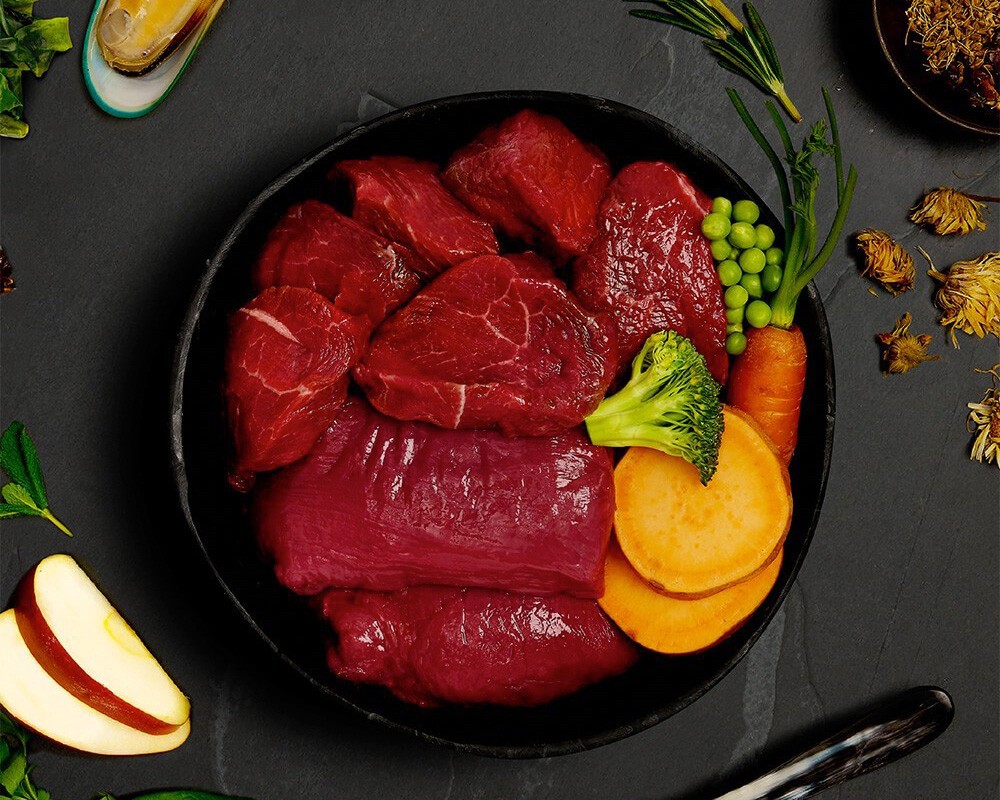 Canagan Venison & Wild Boar Wet Dog Food