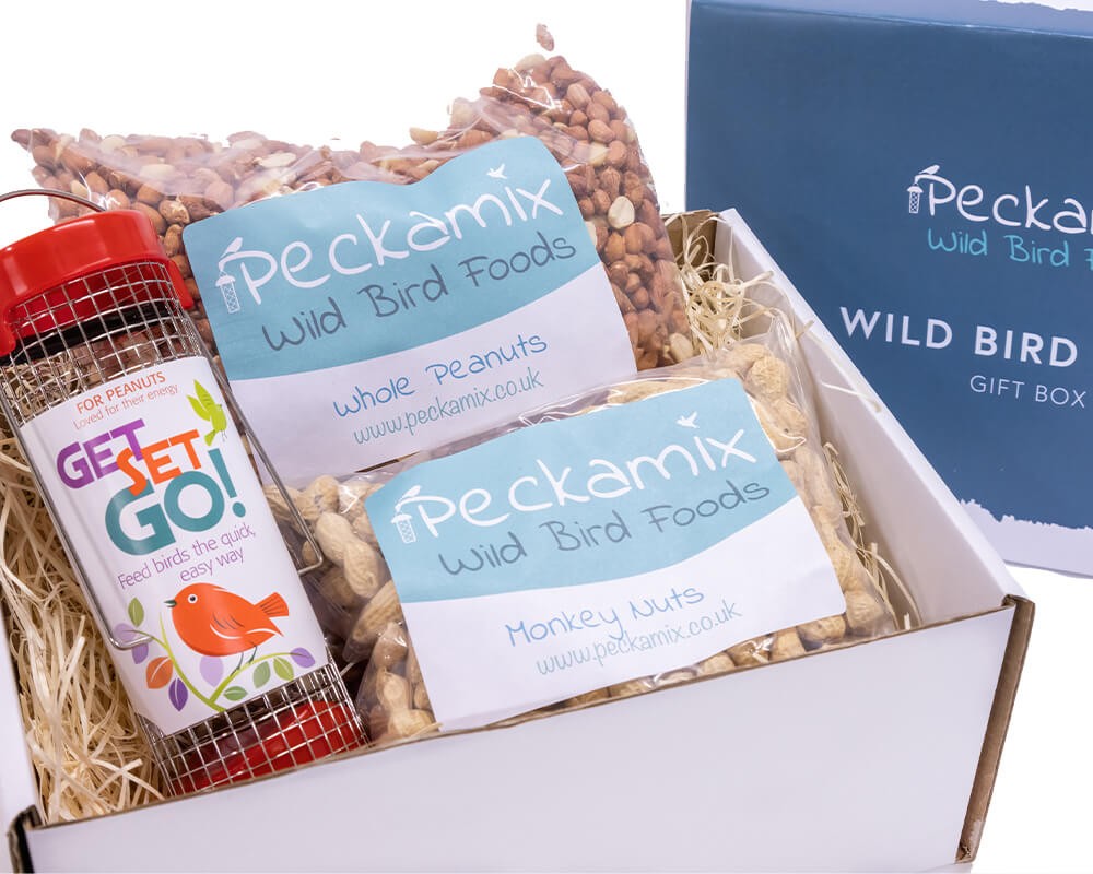 Nutty Gift Box