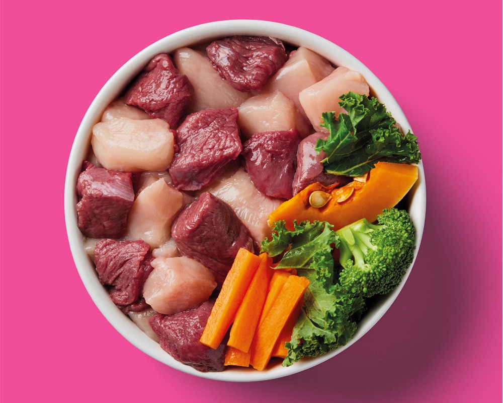 Nutriment Raw Venison & Chicken