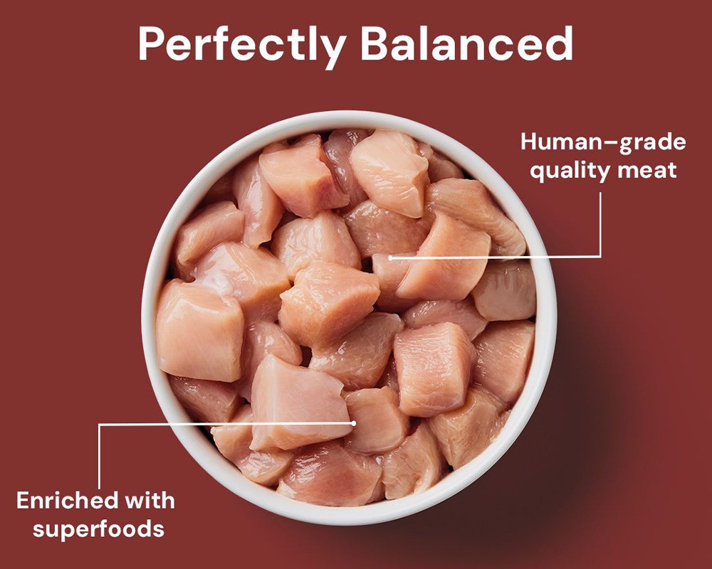 Nutriment Cat Raw Chicken