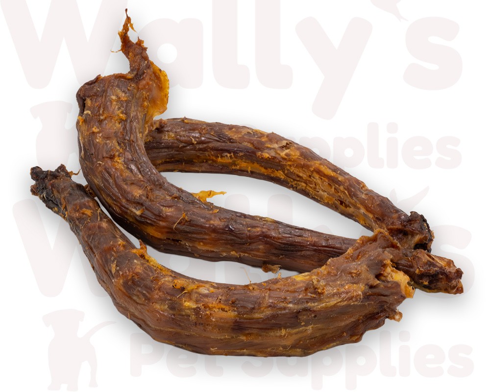 Turkey Necks
