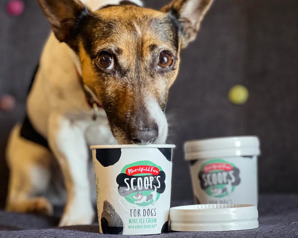 Scoops Mint Ice Cream for Dogs