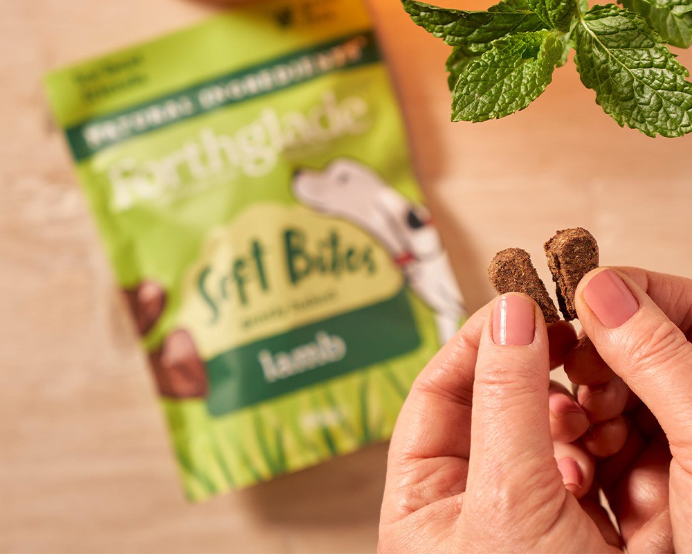 Forthglade Soft Bites Lamb Dog Treats