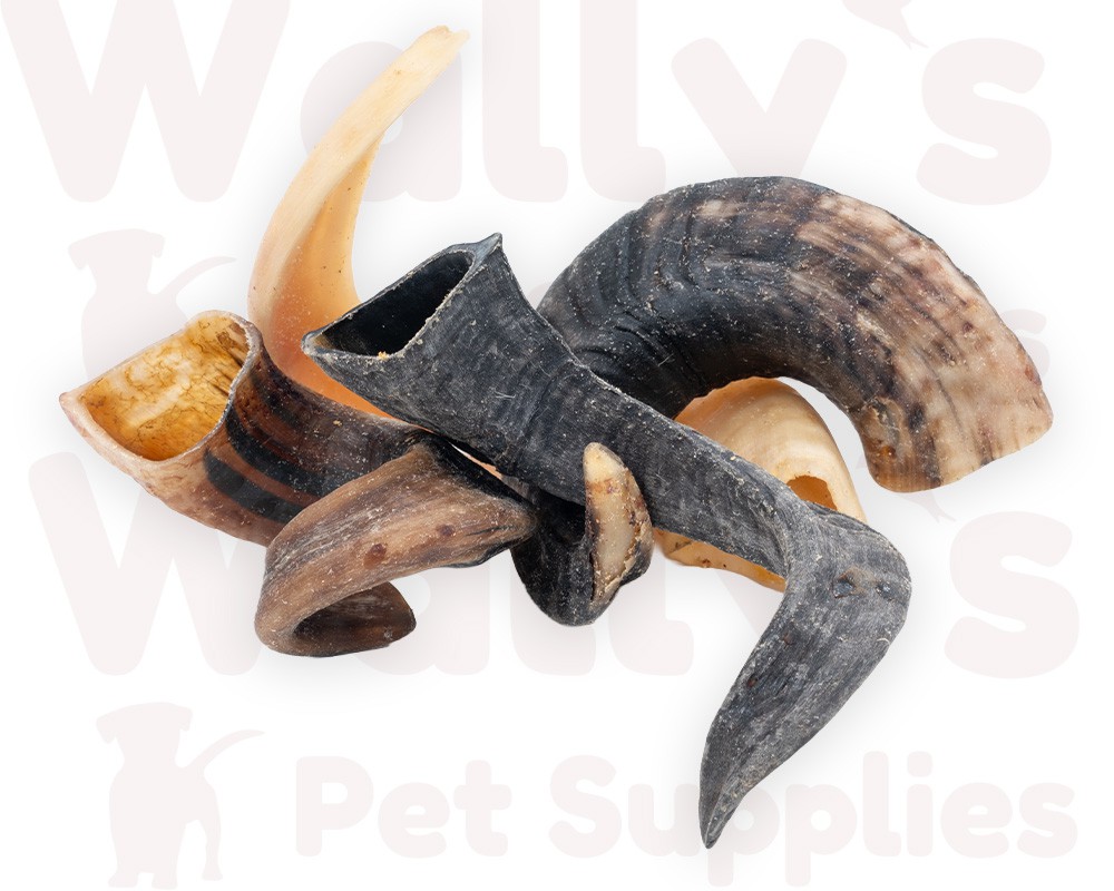 Lamb Horn