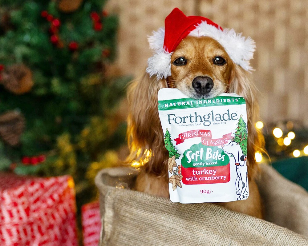 Forthglade Soft Bites Christmas Dog Training Treats Turkey & Cranberry