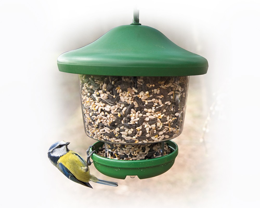 My Favourites Clinger Seed Feeder