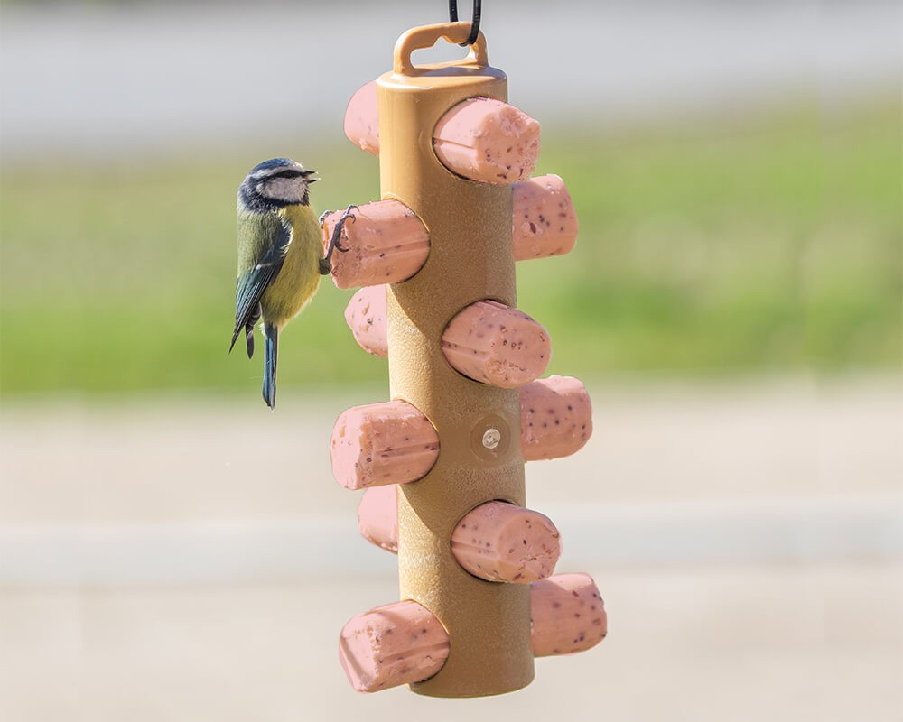 Suet Logs - Berry & Bugs Flavour