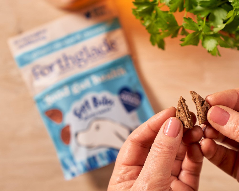 Forthglade Soft Bites Digestive Health Dog Treats