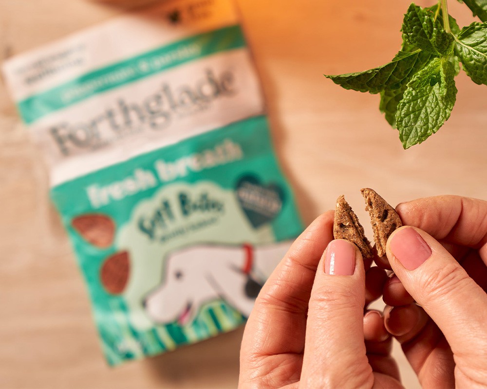 Forthglade Soft Bites Fresh Breath Dog Treats Peppermint & Parsley
