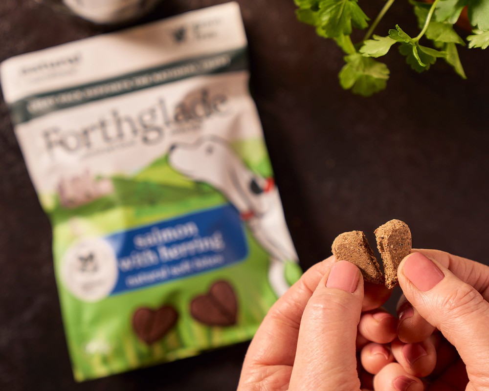 Forthglade Soft Bites Salmon & Herring Dog Treats
