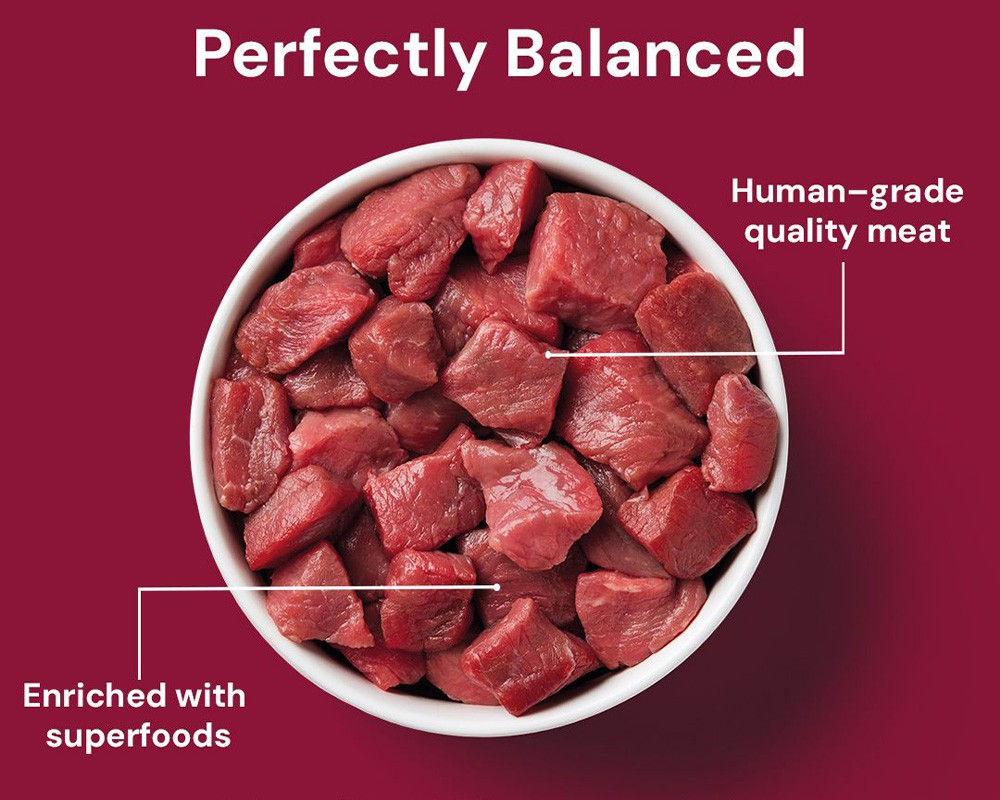 Nutriment Cat Raw Beef