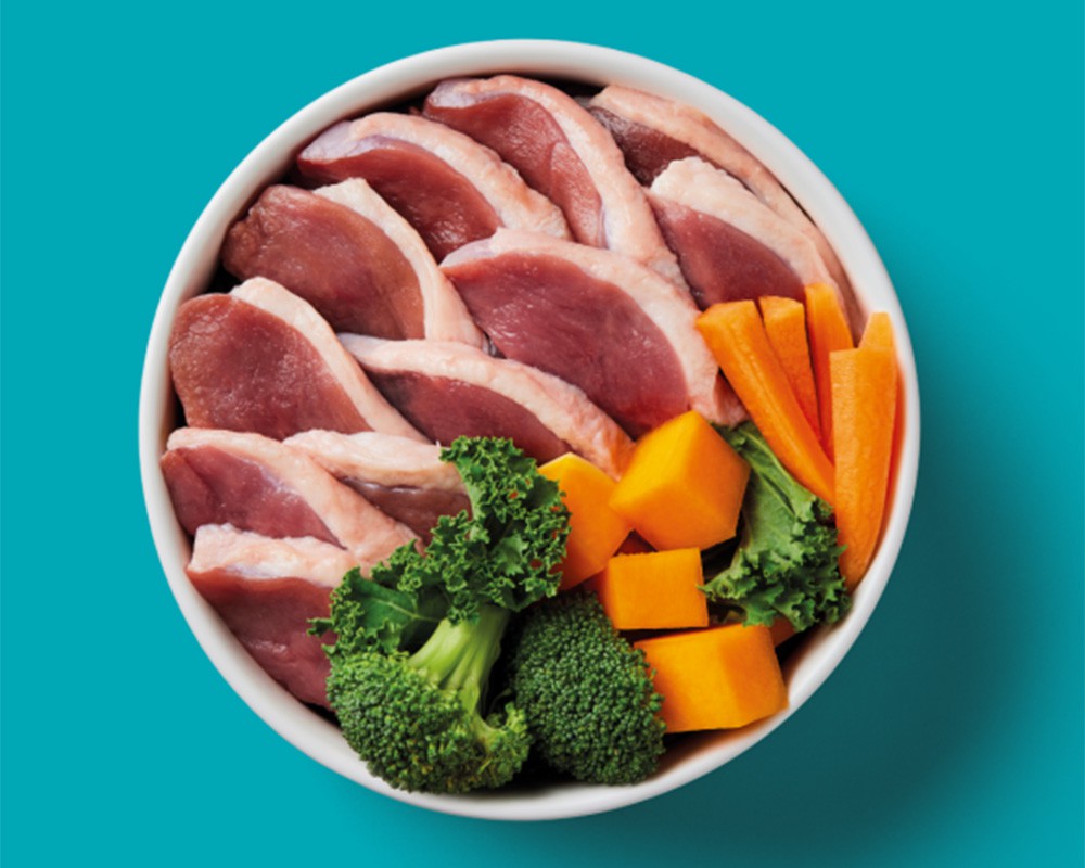 Nutriment Raw Duck
