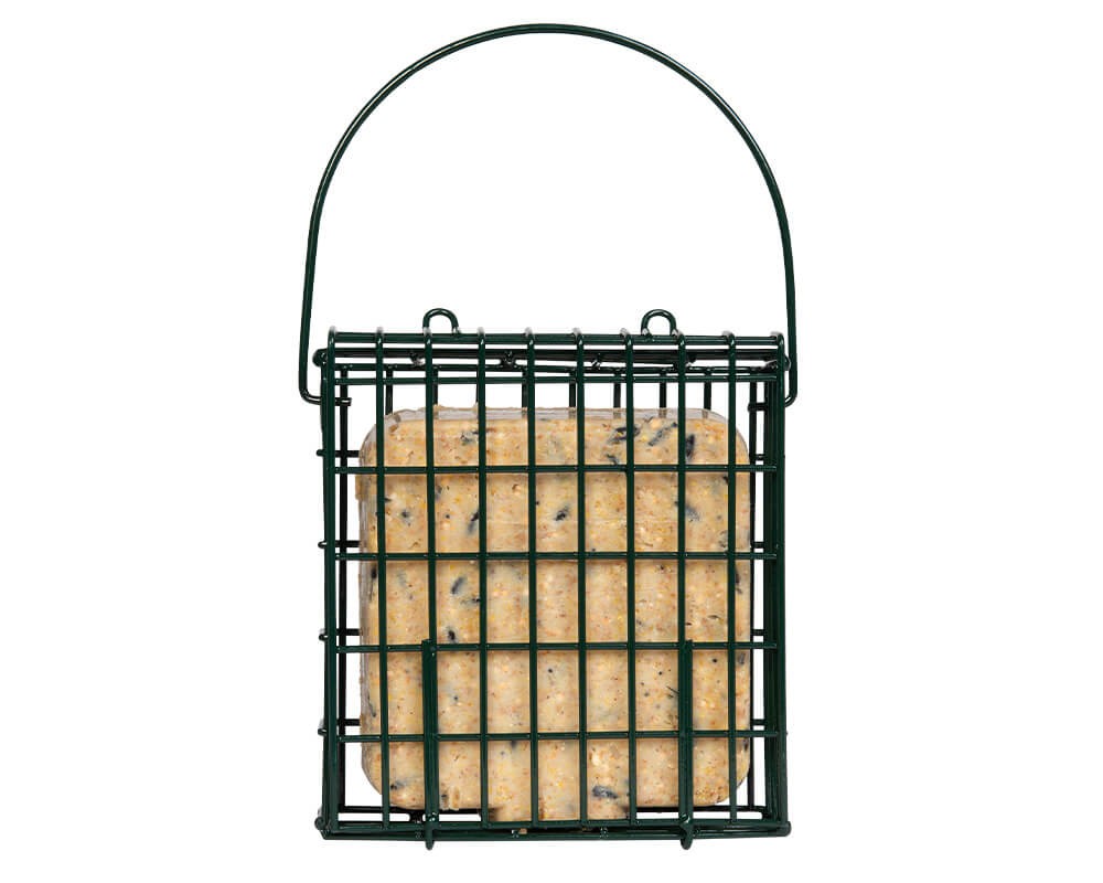 Suet Block Feeder