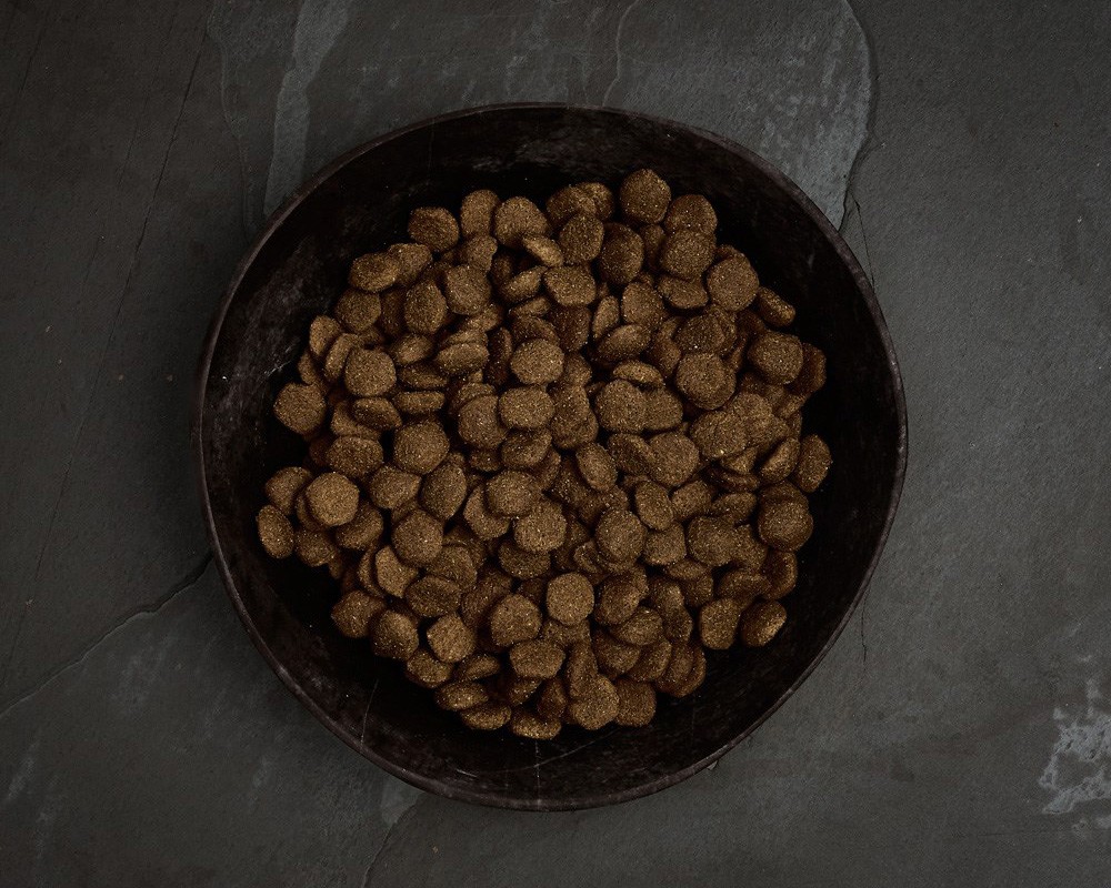 Canagan Scottish Salmon Dry Dog Food